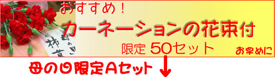カーネーションの花束セット